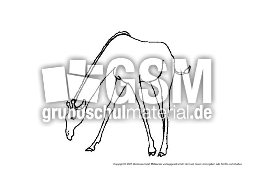 Giraffe-1.pdf